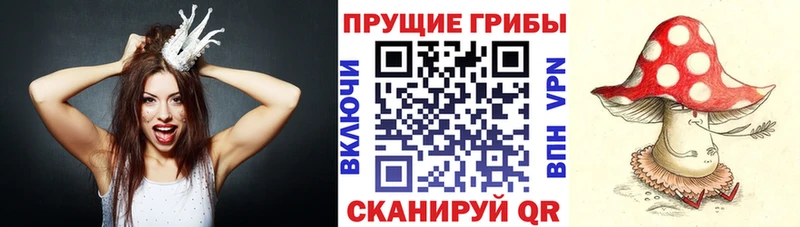 Галлюциногенные грибы GOLDEN TEACHER  где можно купить наркотик  Михайлов 